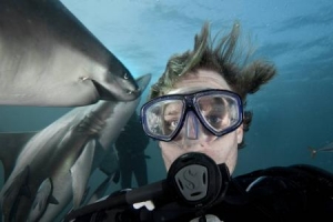 سيلفي مع اسماك القرش .. فيديو خطير