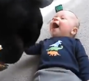 طفل يستمتع بمداعبة كلب له ...