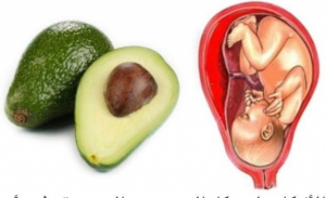 ما هو سر الشبه بين بعض أعضاء الجسم والأطعمة؟