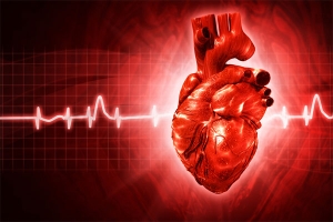 علماء يكتشفون إنزيما يسبب فشل القلب