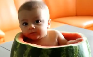  شاهد بالفيديو طفل ياكل البطيخ وهو جالس بداخلها 