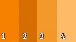 تحليل شخصيتك من لونك المفضل – البرتقالي