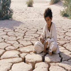  فيلم "ذيب" يقود السينما الأردنية إلى الأوسكار للمرة الأولى في تاريخها