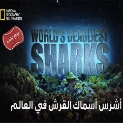 الفلم الوثائقي أشرس أسماك القرش في العالم ناطق بالعربية
