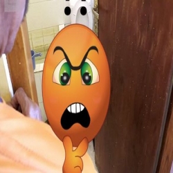  بالفيديو مصور يعثر على  تنين الكومودو  الضخم بحمام غرفته