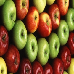 أيهما أفضل التفاح الأخضر أم التفاح الأحمر وماهو الفرق بينهما