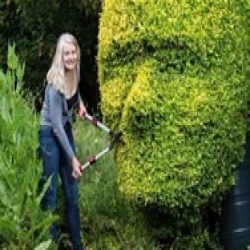 بريطانية تحول أشجار حديقتها لتماثيل لأفراد عائلتها