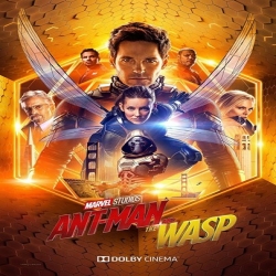فيلم الرجل النملة والدبور Ant-Man and the Wasp 2018 الرجل النملة 2