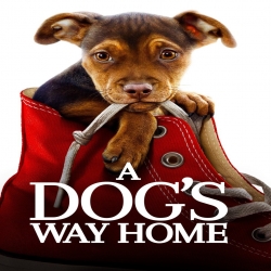 فيلم المغامرة العائلي A Dogs Way Home 2019 مترجم