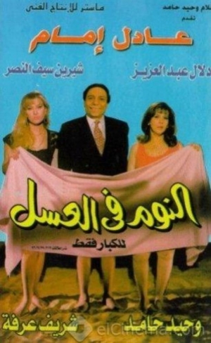 فيلم الدراما والرومانسية النوم في العسل 1996
