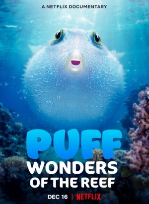 فيلم Puff: Wonders of the Reef 2021 السمكة المنتفخة عجائب الشعاب المرجانية مترجم