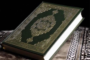  فيديو : طفل ضرير يحفظ القرآن وأرقام الآيات بشكل مذهل