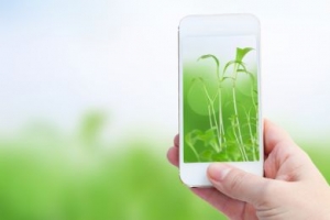 اشحن هاتفك بالنباتات الخضراء !