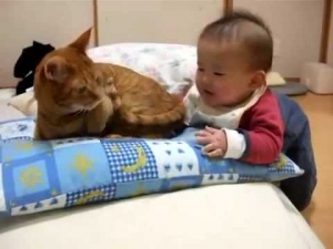 طفل يعض ذيل قطه شاهد رد فعل القطة 