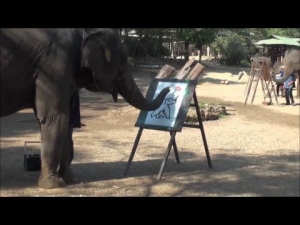 "فيل يرسم بخرطومه لوحة فنية - شي لا يُصدَق !"