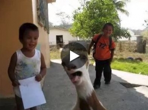 اطفال و حيوانات .. فيديو طريف جدا ..