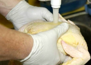 غسل الدجاج النيء يسبب التسمم الغذائي