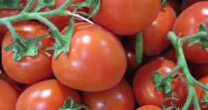 خمسة فوائد صحية وجمالية تجعلك تحب الطماطم