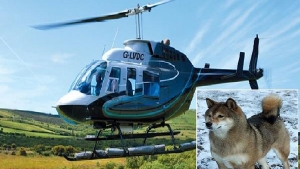 بريطانية تستأجر طائرة هيلوكبتر للبحث عن كلبتها 