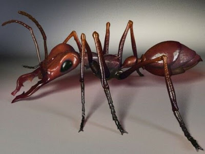 النمل السفاح